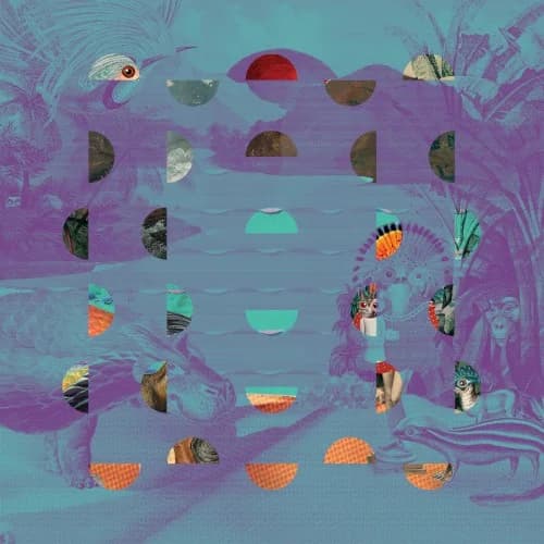 Various Artists - Jazz Dispensary: Night Lights