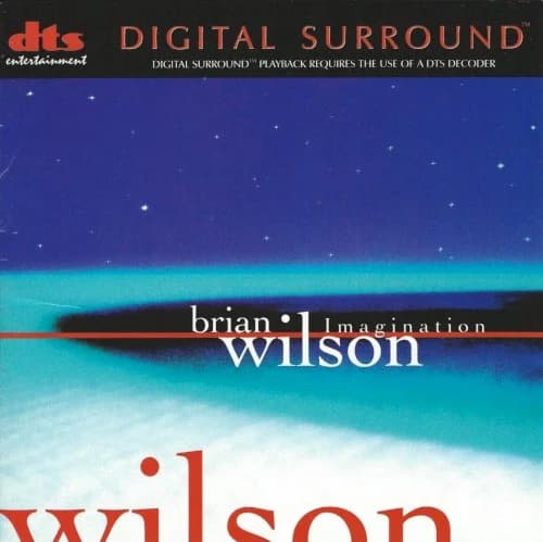 Brian Wilson - Imagination